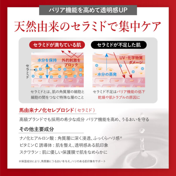 BnoSOL ナノモイスチャー 美容液 30ｍl  一つ BnoSOL ナノモイスチャー美容液 | B no SOL